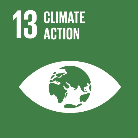 SDG 13 - Climate Action